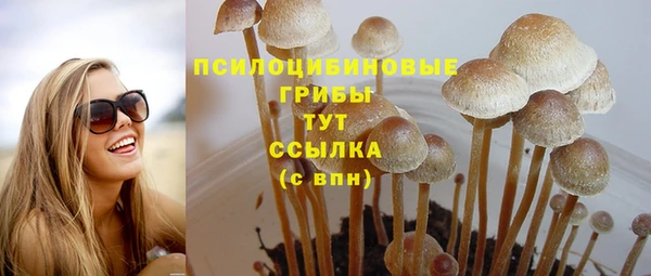 скорость Богородск