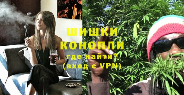 ECSTASY Богородицк