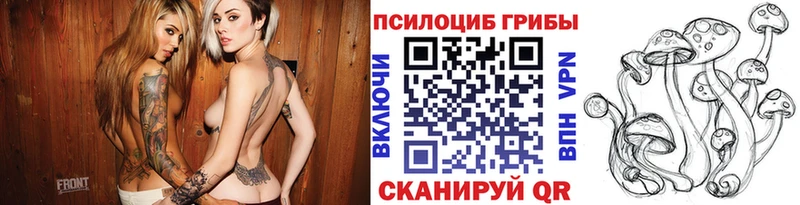 Галлюциногенные грибы мицелий купить Мценск
